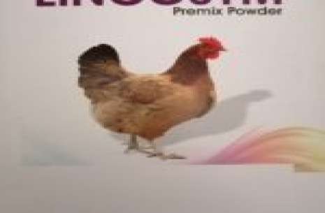 Lincosym Powder 5 kg
