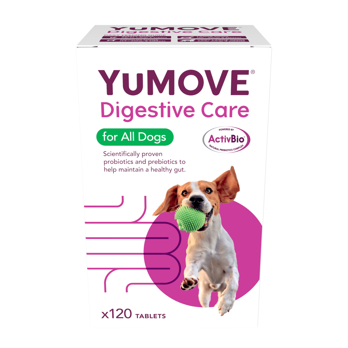 Lintbells YuMOVE Digestive Care 120 tabs