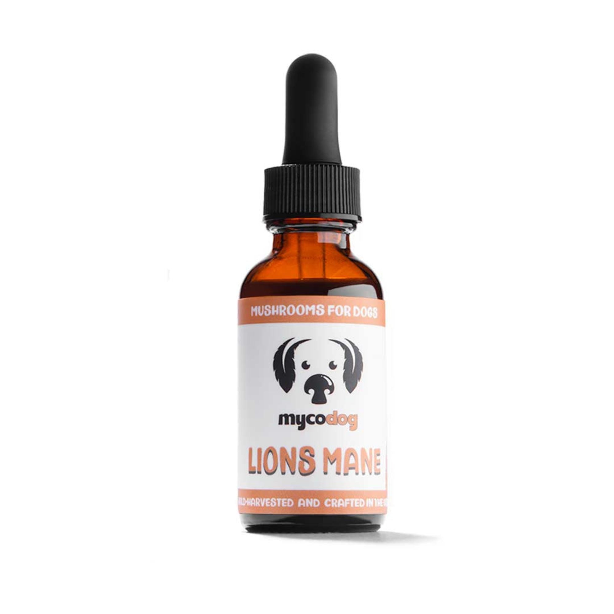 Lion's Mane Mushrooms | Liquid Dual Extract