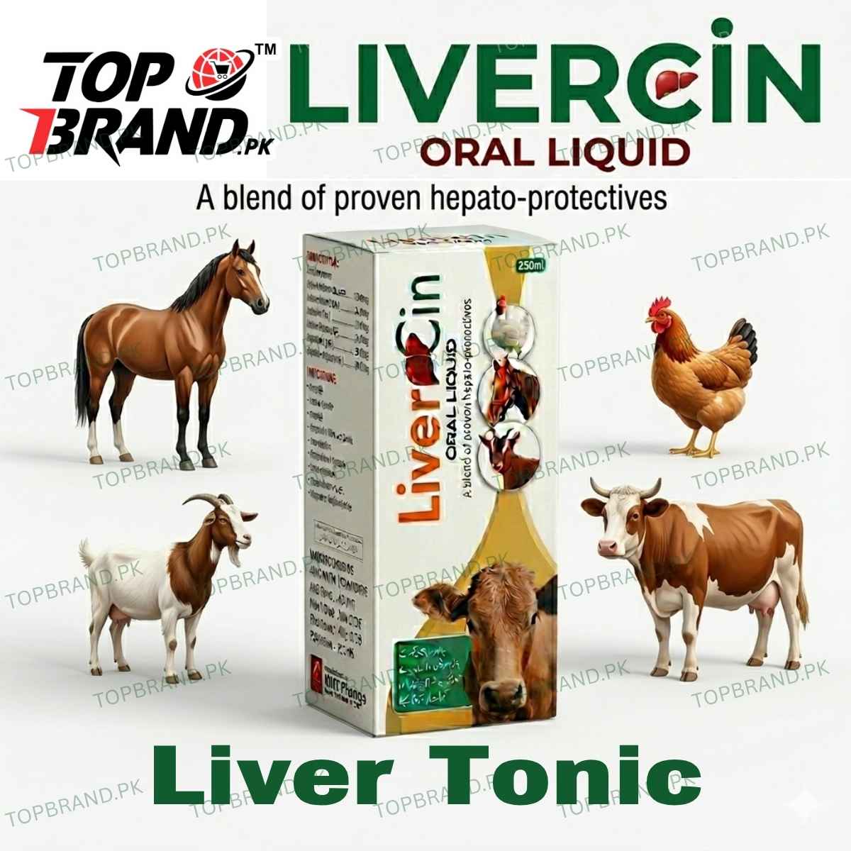 Livercin Oral Liquid 250ml – Advanced Liver Support for Livestock & Poultry