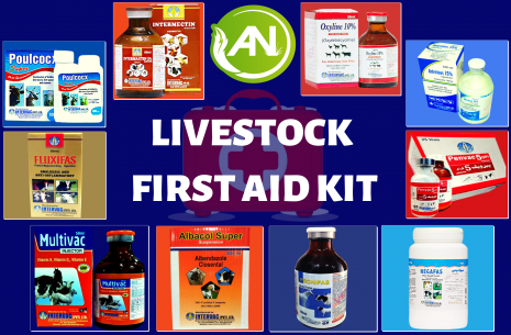 Livestock First Aid Kit