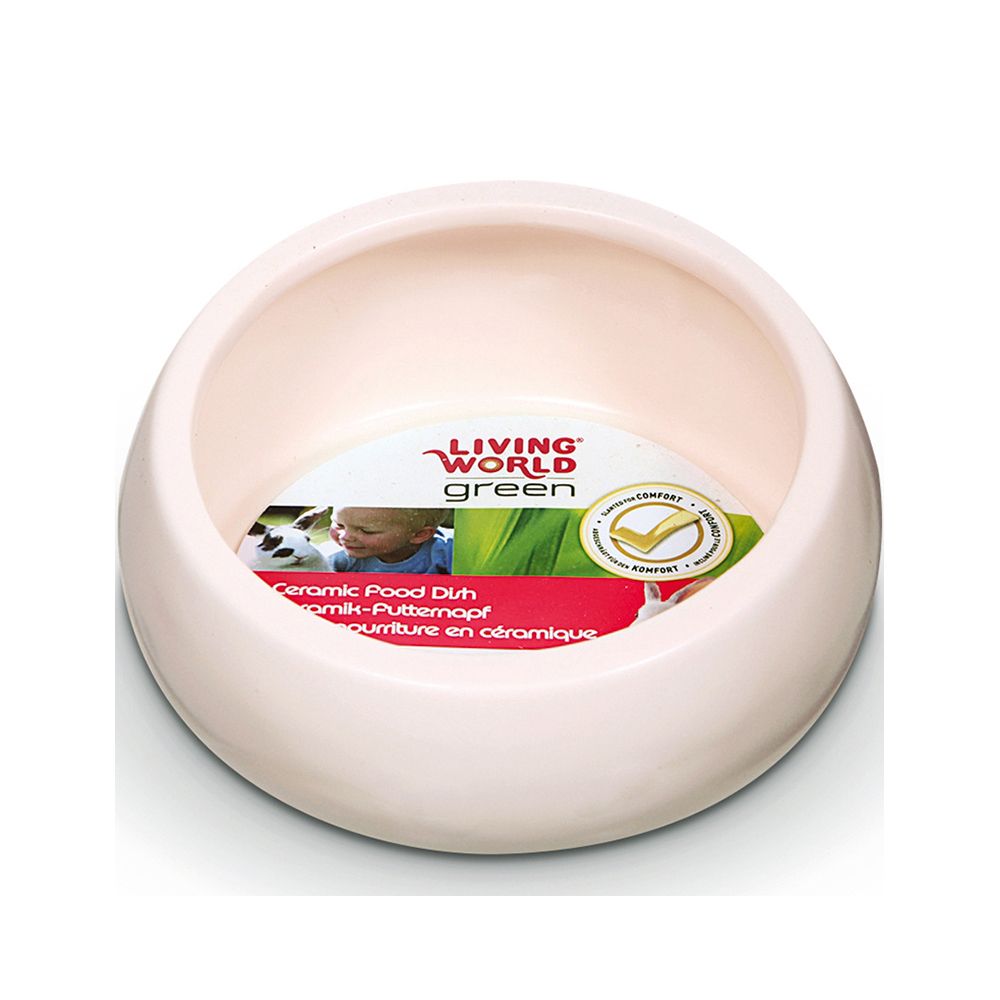 Living World Ceramic Dish - Ivory