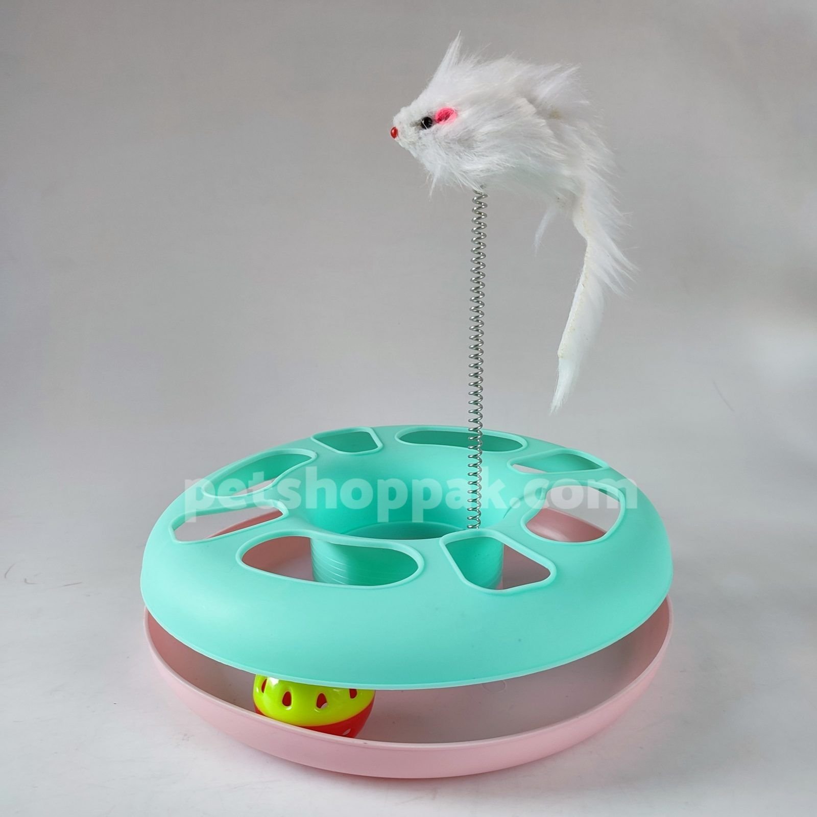 Cat Playing Circle with teaser toy