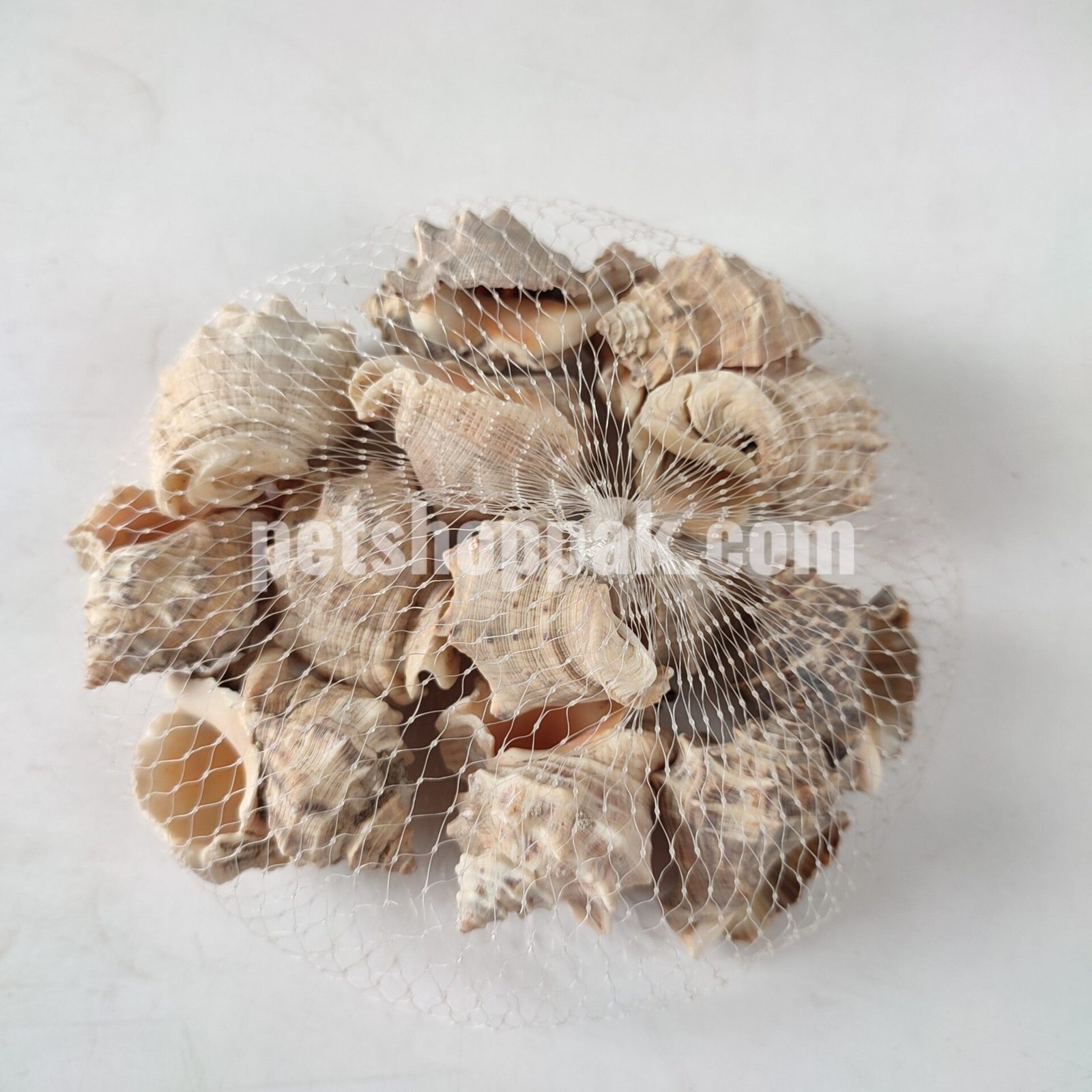 Fish Tank Sea Shell Decor