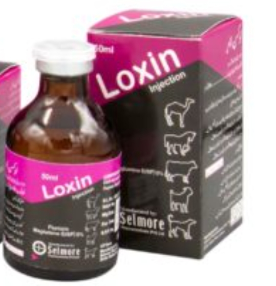 Loxin inj 100 ml buy online in pk