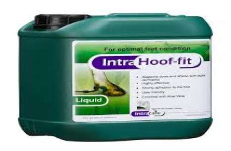 Intra Clean & Controle (Dip)