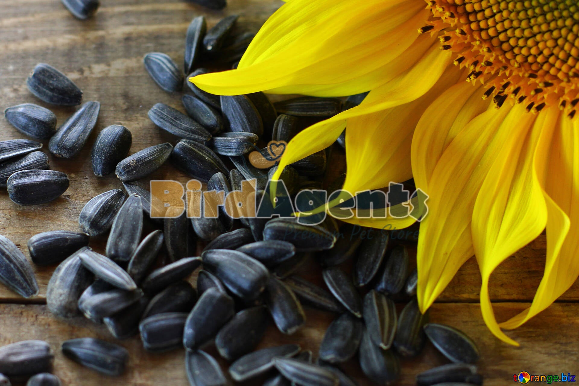 Sunflower Seeds - A High Energy Nutritious Blend