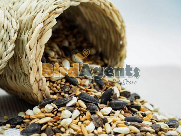 Seed Mix For Parakeets - Premium Balanced Blend