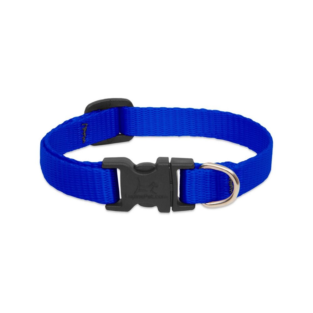 Lupine Pet Basics Adjustable Dog Collar - 22 cm