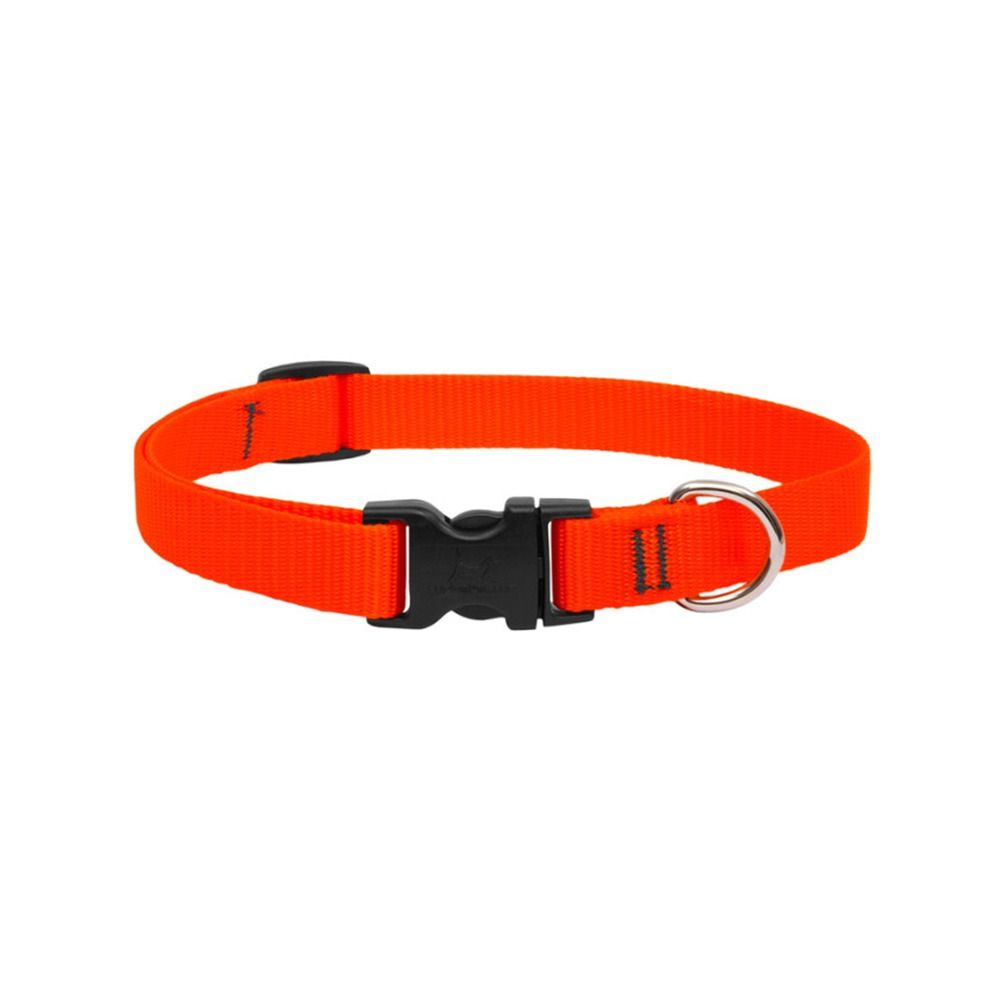 Lupine Pet Basics Adjustable Large Sized Dog Collar - 55 cm