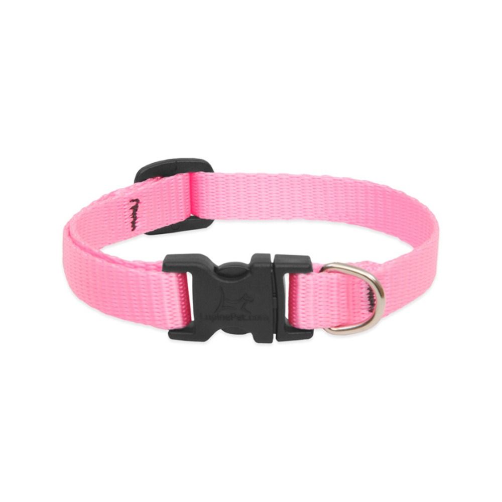 Lupine Pet Basics Adjustable Dog Collar - 30 cm
