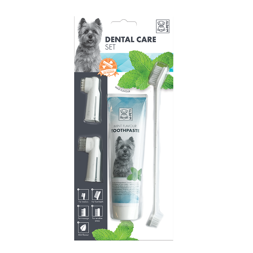 M-Pets - Dental Care Set Mint Flavor Toothpaste Kit