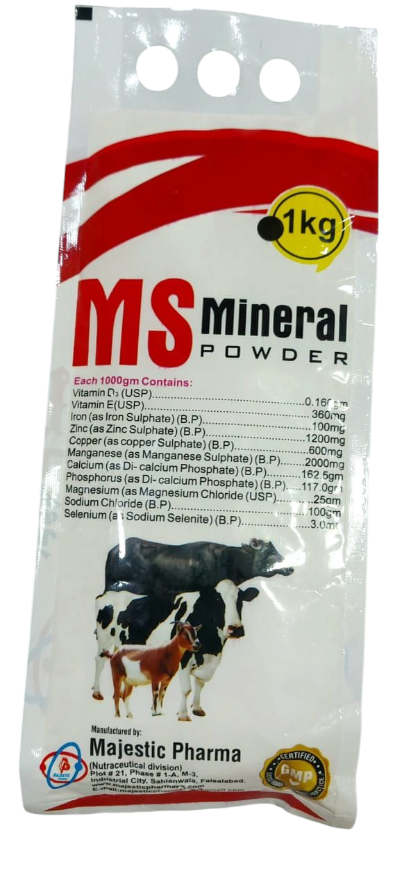 MS Mineral powder buy online pk