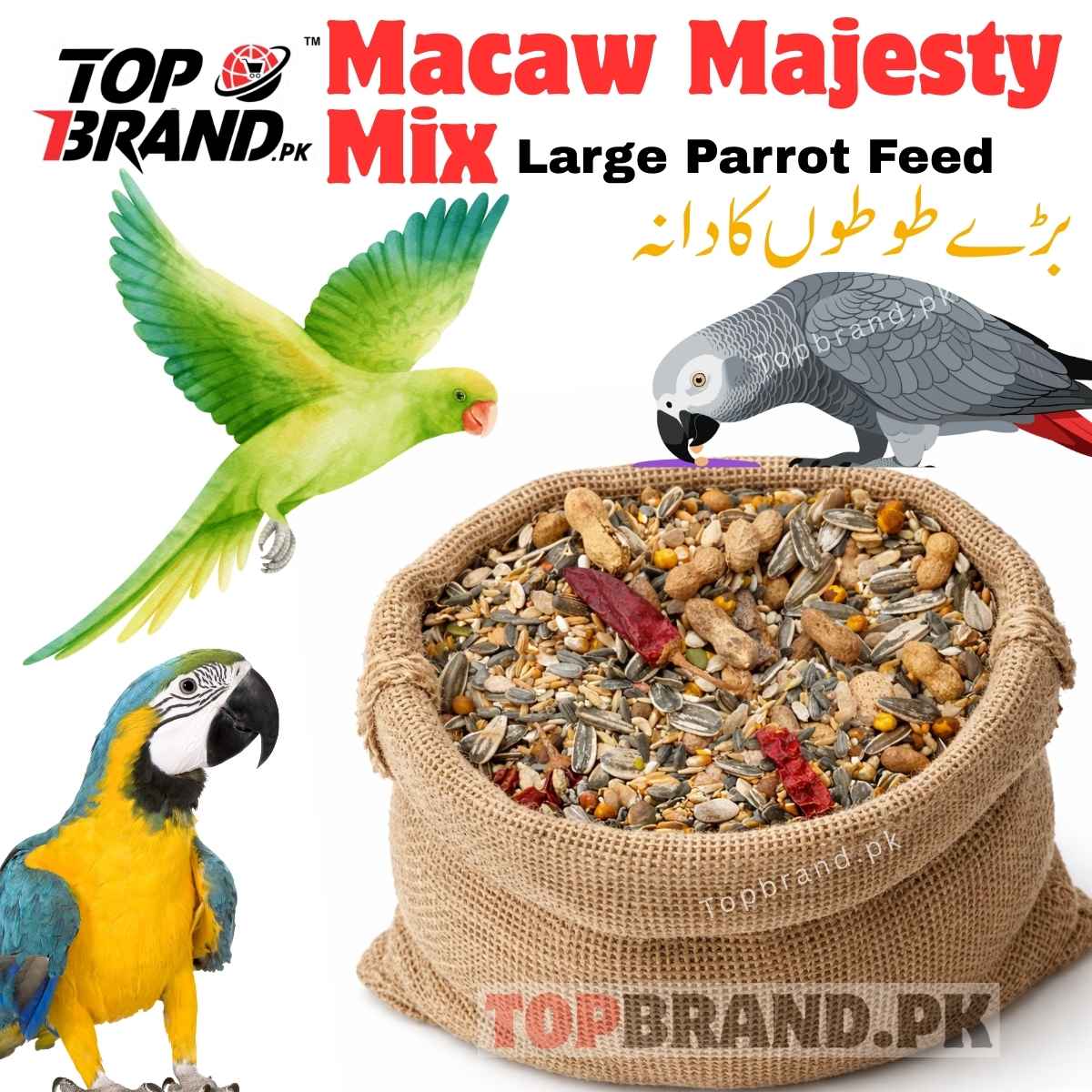 Large Parrot Feed, Like Macow Feed, Green Parrot Feed, African Grey Feed