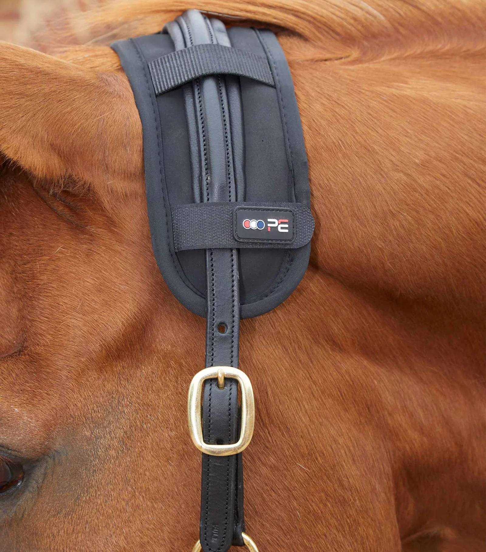 PEI Magni-Teque Magnetic Poll Band
