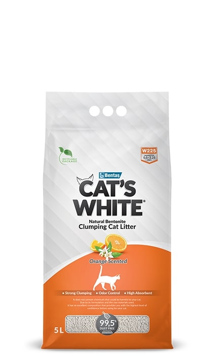 Cats White