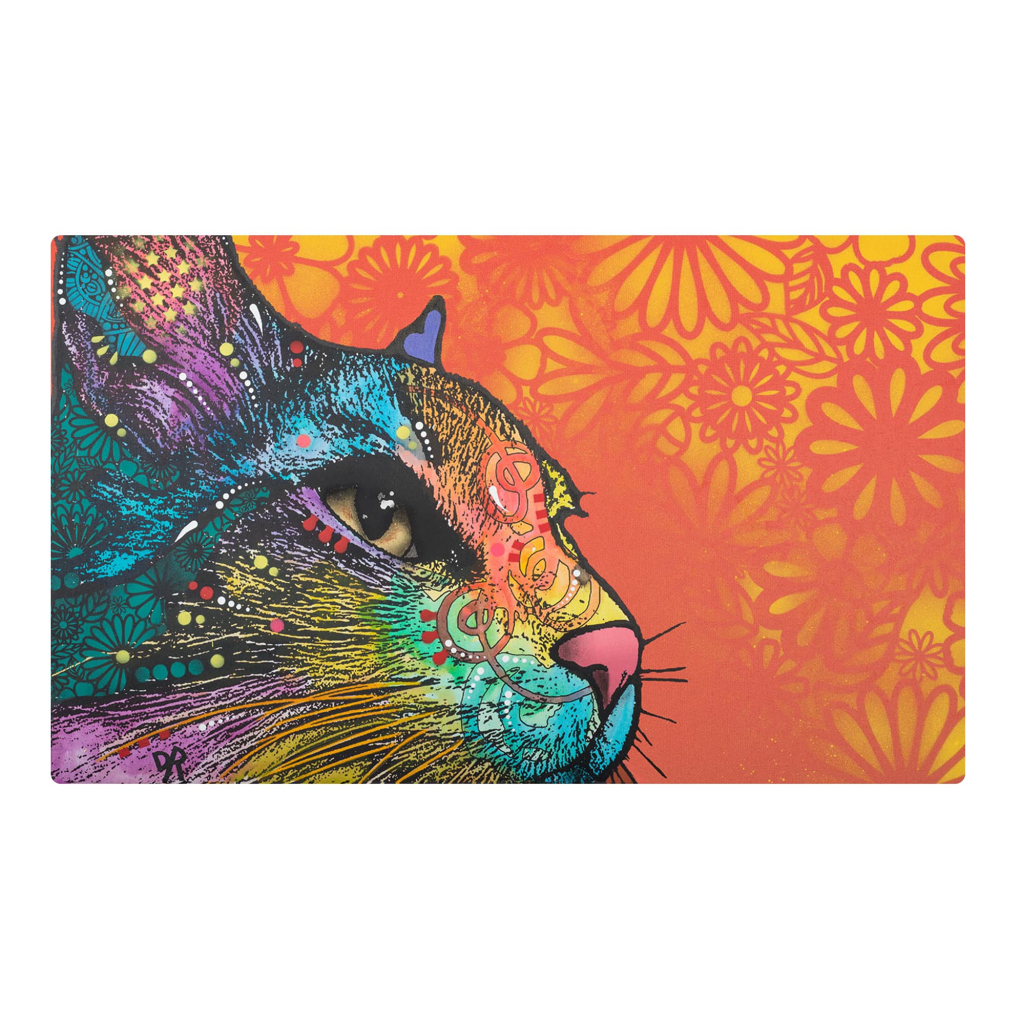Drymate Mats for Cats 12 X 20 Inch 30 Cms X 50 Cms