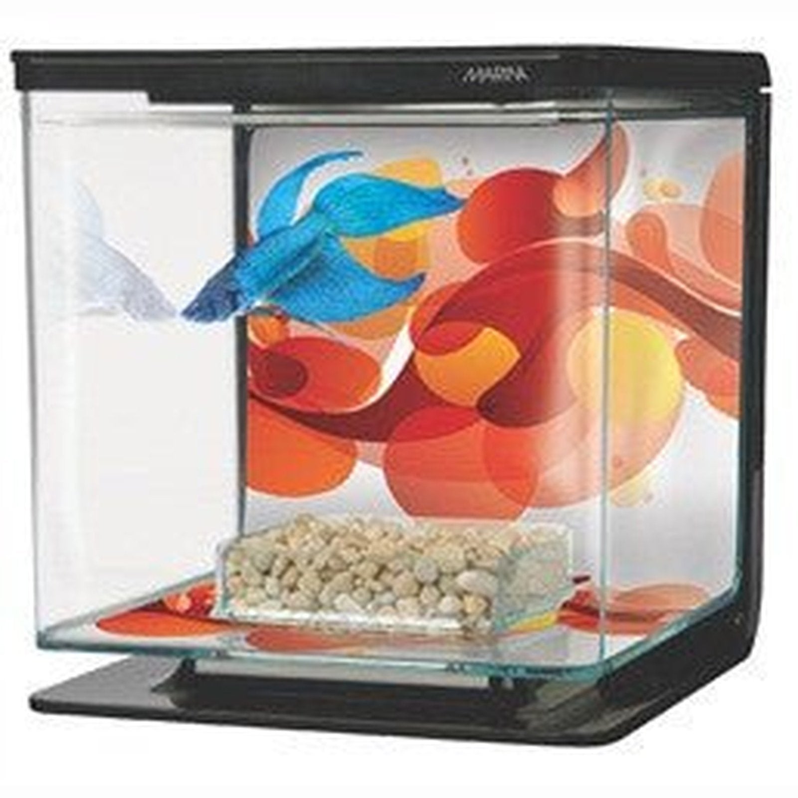 Marina Betta Kit - Sun Swirl