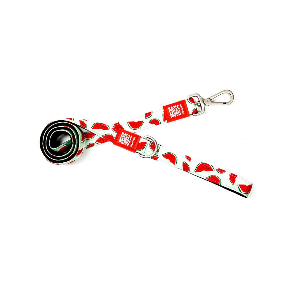Max and Molly Short Dog Leash - Watermelon - Large