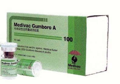 Medivac Gumboro A