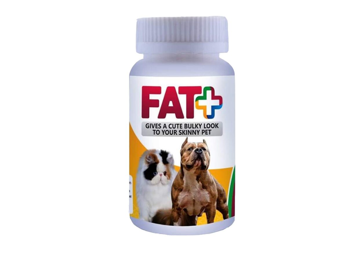 Mega Fat Plus Supplement 200g