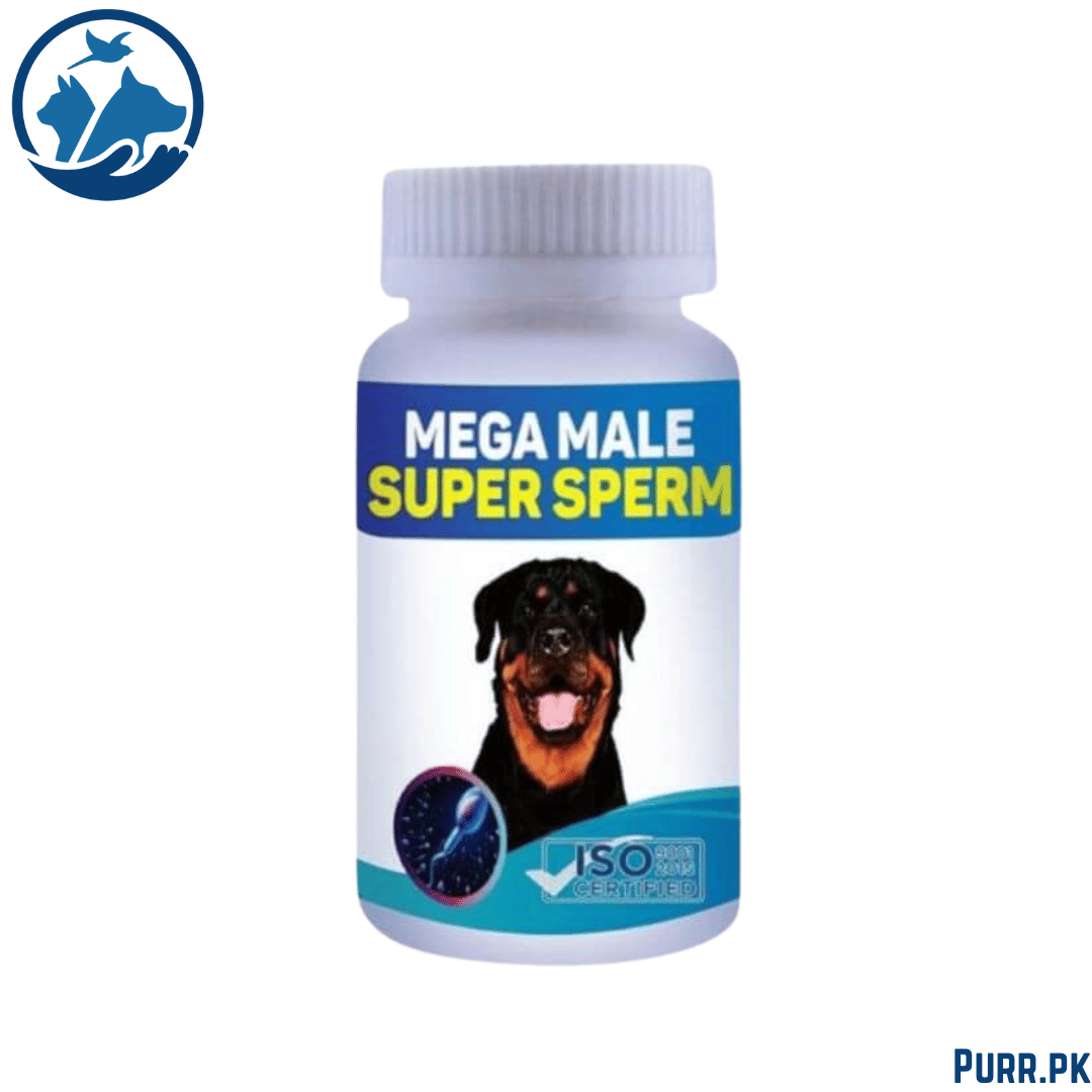 Mega Male Super Sperm, for Stud Male Dog &amp; Cat
