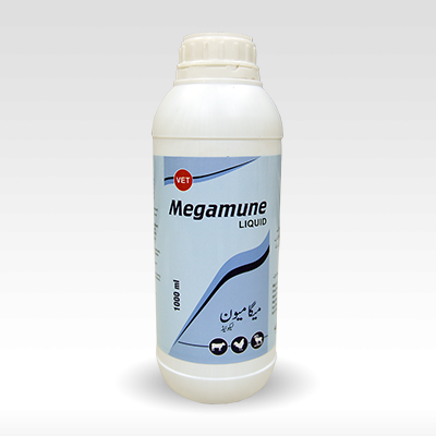 MEGAMUNE