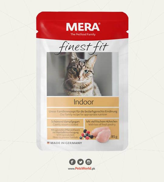 Mera Creamy Bites indoor