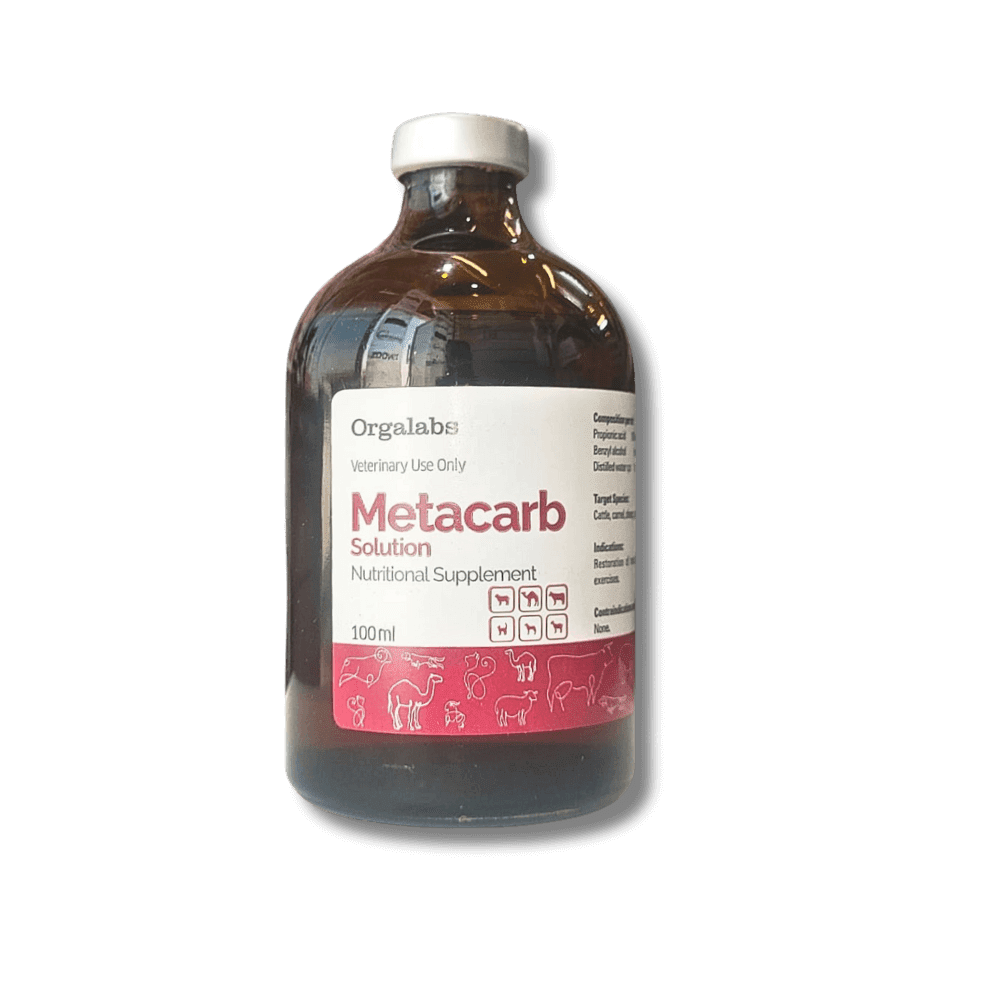 Metacarb Solution Energy & Muscle Recovery Supplement for Camels & Horses