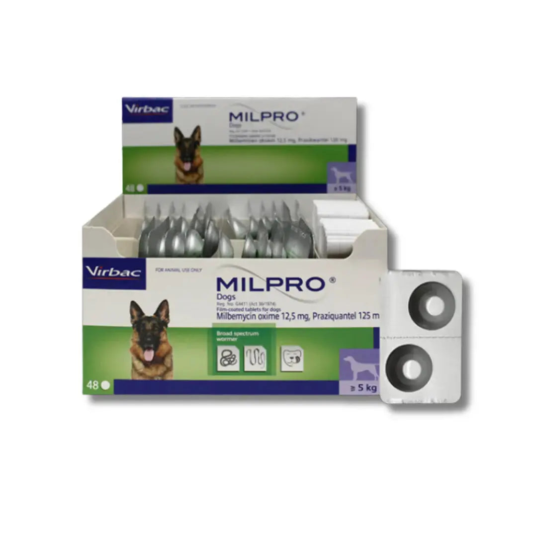 MILPRO DEWORMING FOR DOG PER TABLET