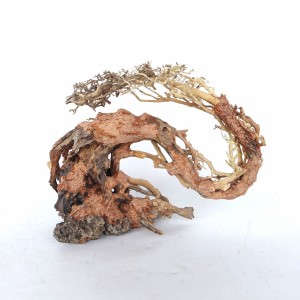 Dragon-like Wood Tree –