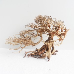 Romantic Bonsai Wood –