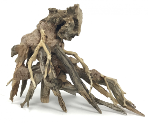 Octopus Wood –