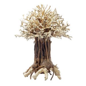 Pagoda Bonsai Wood –