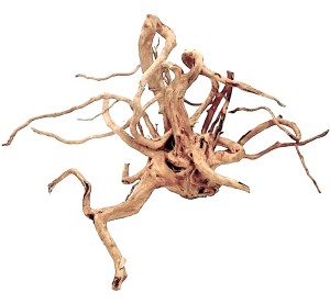 Wood Root –