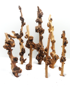 Sava Wood –