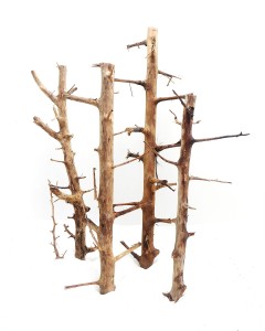 Long Hands Wood –