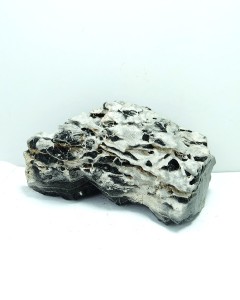 Black& White Multilayer-Thin Line –