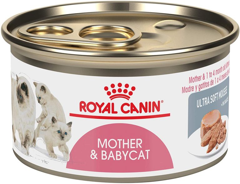 Royal Canin Mother and Baby Cat Ultra Soft Mousse