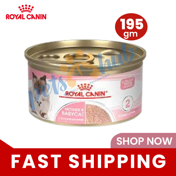 Royal Canin Mother & Babycat Mousse Tin