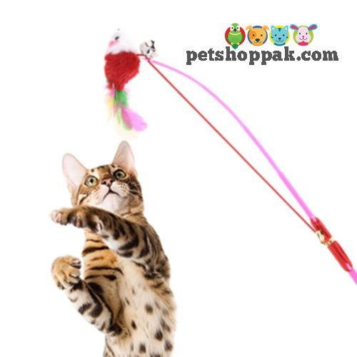 Cat Teaser Stick with Mouse Bell