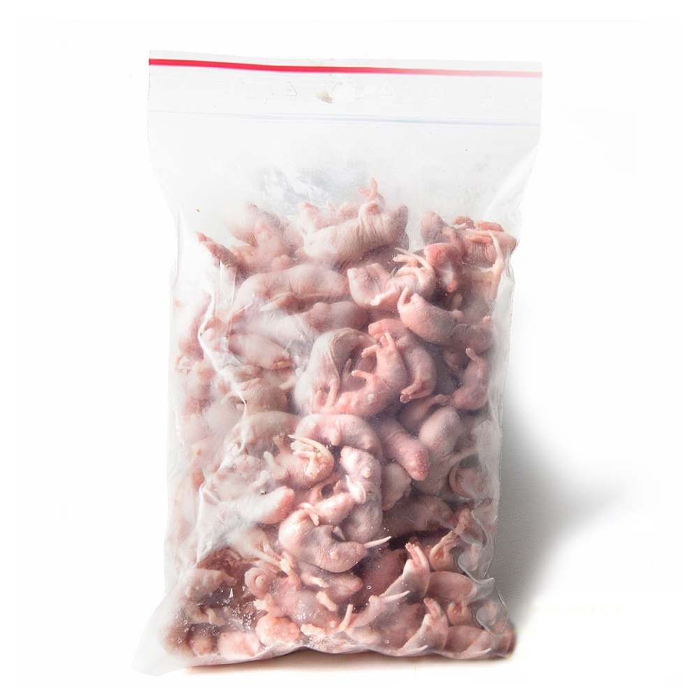 Frozen Mouse Pinkies 1-2g - 25pcs