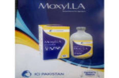 Moxyl LA 100 ml