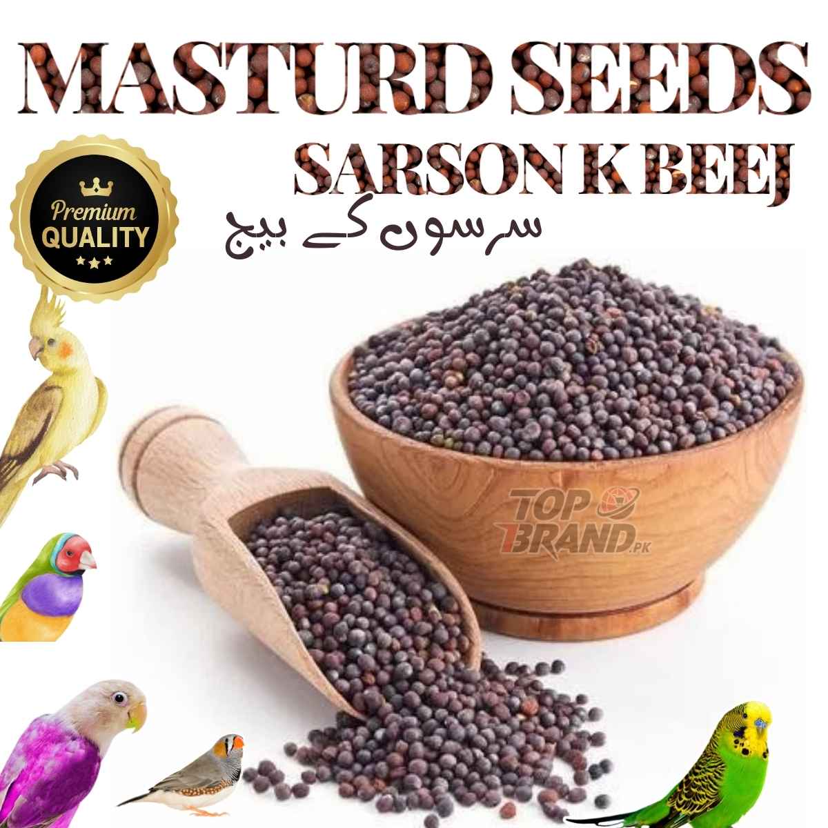 Mustard Seeds (Sarson Ke Beej) – Ideal for Finches, Parrots & Poultry