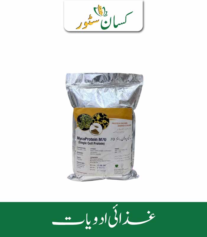 Myco Protein M70 Global Products Price in Pakistan