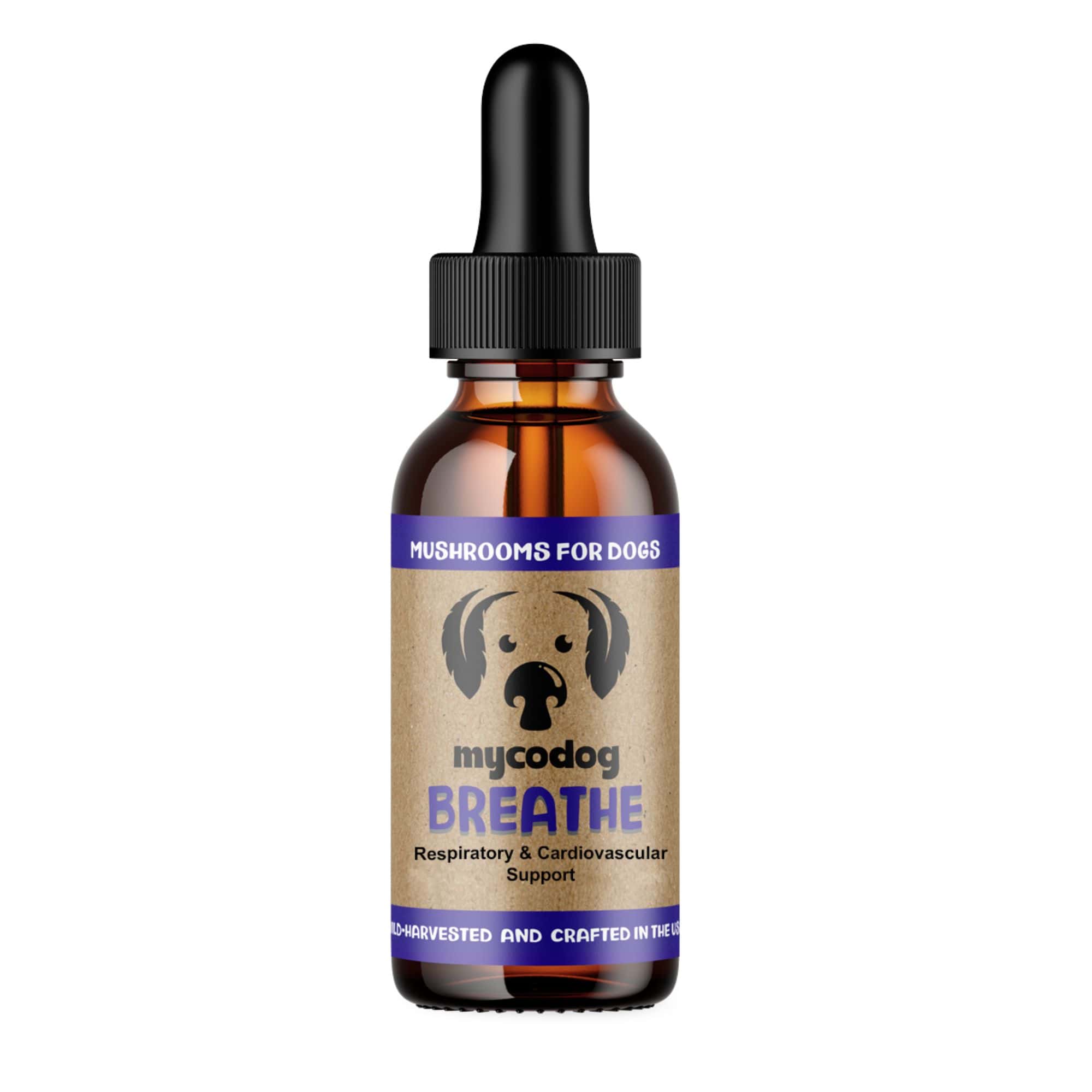 BREATHE - Mushrooms for Heart and Respiratory Support