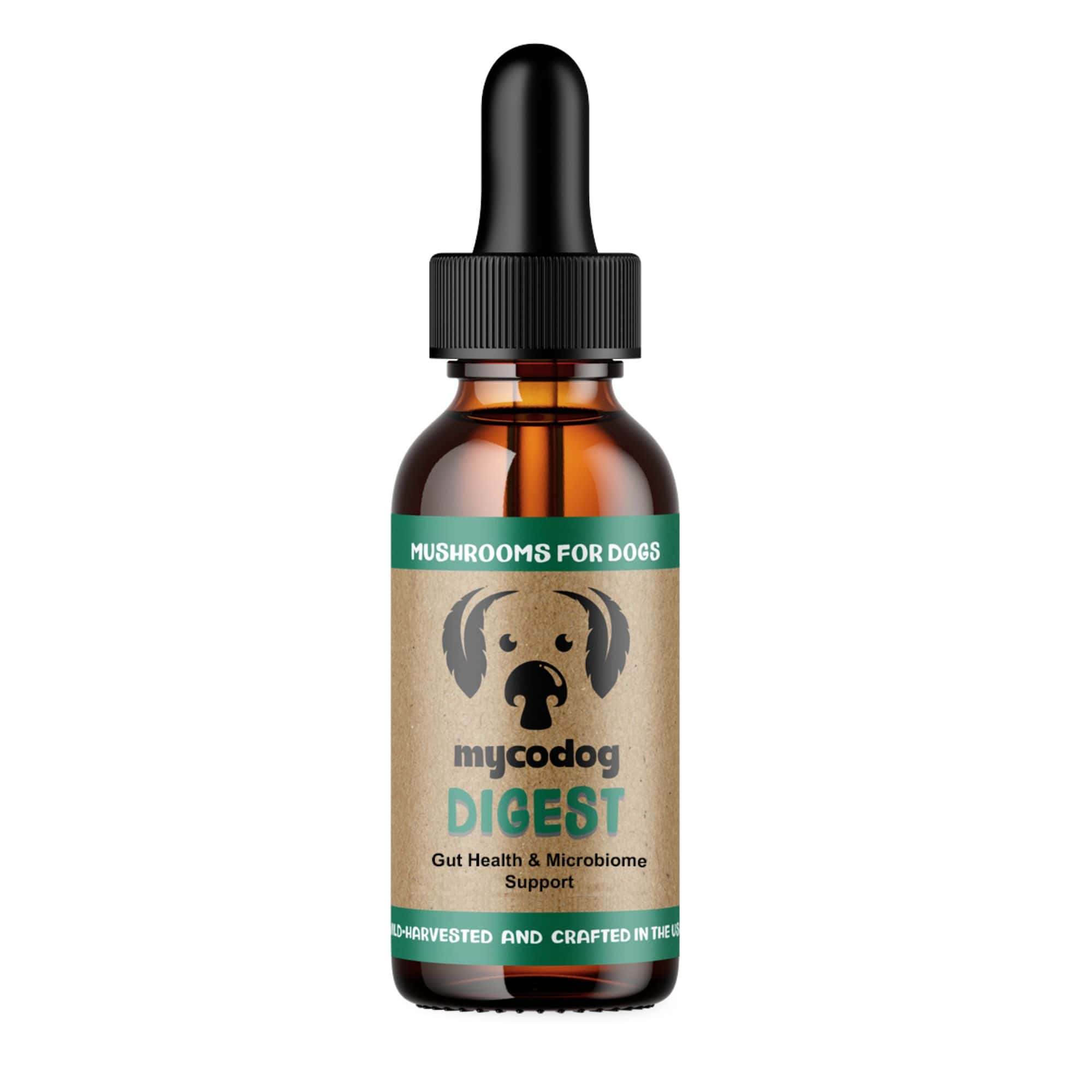 DIGEST - Mushrooms For Digestive Support