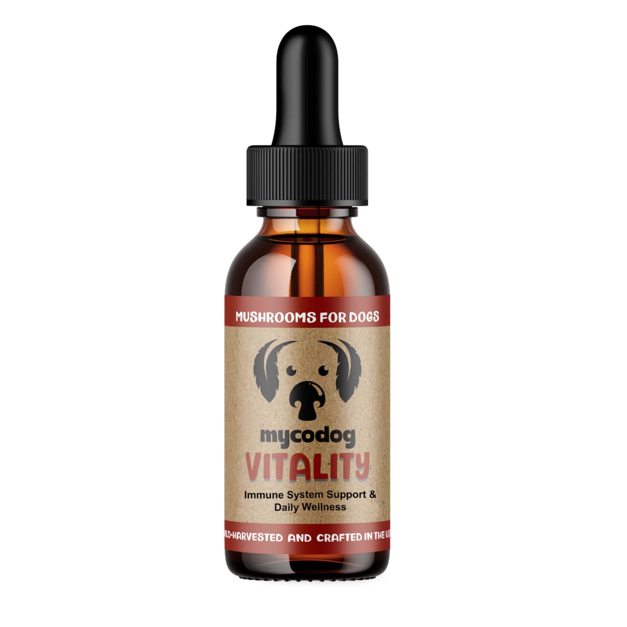VITALITY - Mushrooms for Immune Support