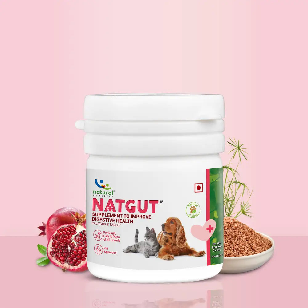NatGut Supplement | 20 TAB.