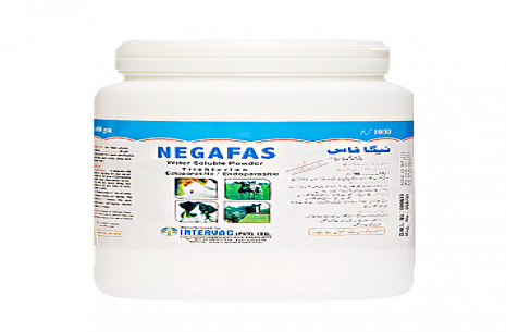 Negafas Powder